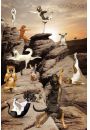 Joga - Zabawne Figury w Kanionie - Psy - plakat 61x91,5 cm