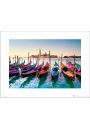 Venice Gondolas - plakat premium 50x40 cm