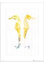 Seaside Seahorse Yellow - plakat premium 40x50 cm