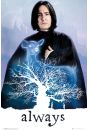 Harry Potter Snape Always - plakat 61x91,5 cm