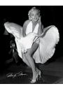 Marilyn Monroe Somiany Wdowiec - plakat 40x50 cm