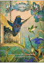 Hummingbird Wisdom Oracle Cards