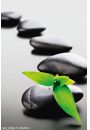 Zen Stones - Green - plakat 61x91,5 cm