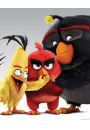 Angry Birds Bohaterowie - plakat 40x50 cm