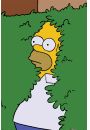 The Simpsons Homer Bush - plakat 61x91,5 cm