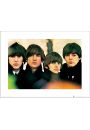 The Beatles For Sale - plakat premium 50x40 cm