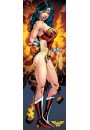 DC Comics Wonder Woman - plakat 53x158 cm