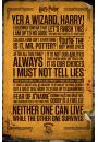 Harry Potter Teksty - plakat 61x91,5 cm