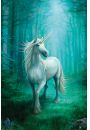 Anne Stokes Unicorn Jednoroec - plakat 61x91,5 cm