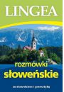 eBook Rozmwki soweskie ze sownikiem i gramatyk epub