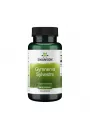 Swanson Gymnema Sylvestre 400 mg - suplement diety 100 kaps.