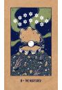 Transient Light Tarot, karty