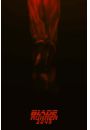 Blade Runner 2049 - plakat premium 40x50 cm