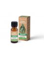 Vera Nord Naturalny olejek eteryczny Eukaliptus 10 ml