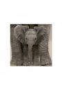 Big Ears Baby Elephant - plakat premium 40x40 cm