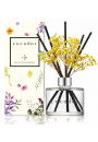Cocodor Dyfuzor zapachowy Daffodil Vanilla & Sandalwood PDI30926 200 ml