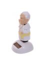 Papie Franciszek na bateri soneczn
