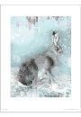Christmas Hare - plakat premium 40x50 cm