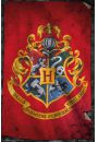 Harry Potter Hogwarts - plakat 61x91,5 cm