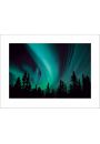 Northern Lights - plakat premium 80x60 cm