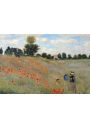 Claude Monet Pole Makw - plakat 91,5x61 cm