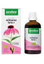 Purasana Echinacea forte - jewka purpurowa Suplement diety 100 ml Bio
