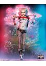 Legion Samobjcw Harley Quinn - plakat 40x50 cm