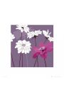 Purpurowe Kwiaty - plakat premium 40x40 cm