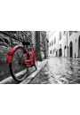 Czerwony rower - plakat 60x40 cm