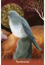 Earth Angels Message Cards, karty do wróżenia