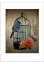 Birdcage Vintage - plakat premium 40x50 cm