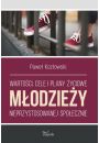 eBook Wartoci, cele i plany yciowe modziey nieprzystosowanej spoecznie mobi