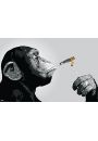 Steez Monkey Joint Time - plakat 91,5x61 cm