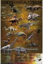 Dinozaury - Wykres - plakat 61x91,5 cm