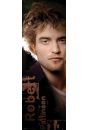 Robert Pattinson - Tenet - plakat 53x158 cm