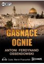 Audiobook Gasnce ognie mp3