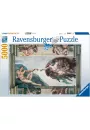 Puzzle 5000 el. Micha Anio. Stworzenie Adama Ravensburger