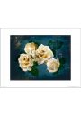 Re Roses Midnight - plakat premium 40x30 cm