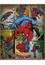 Marvel Comics - Spiderman Retro - plakat 40x50 cm