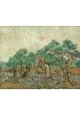 The Olive Orchard, Vincent van Gogh - plakat 59,4x42 cm