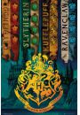 Harry Potter Domy Magii - plakat 61x91,5 cm