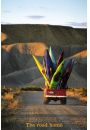 Australia - Droga do Domu - Deski Surfingowe - plakat 61x91,5 cm