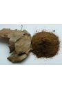 Kappor (Cinnamomum camphora) - cynamonowiec kamforowy