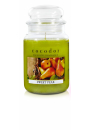 Cocodor wieca dua Sweet Pear PCA30435 550 g