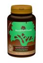 Rainforest Foods Chlorella 500 mg - suplement diety 300 tab. Bio
