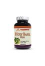 Sewanti Suplement diety Holy Basil Plus 500 mg 90 kaps.